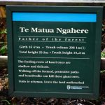 Te Matua Ngahere sign