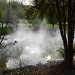 Hot springs in the Kuirau park, Rotorua
