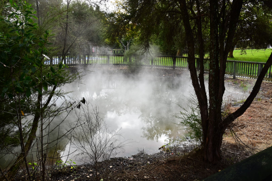 Hot springs in the Kuirau park, Rotorua
