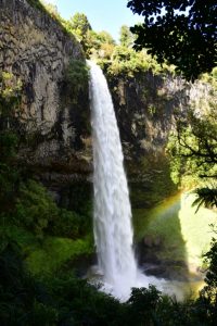 Bridal Veil Falls, Raglan